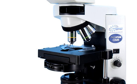 Phase Contrast Microscope